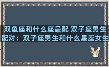 双鱼座和什么座最配 双子座男生配对：双子座男生和什么星座女生最配